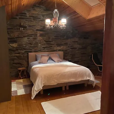 Cocoon 维尔雅尔姆